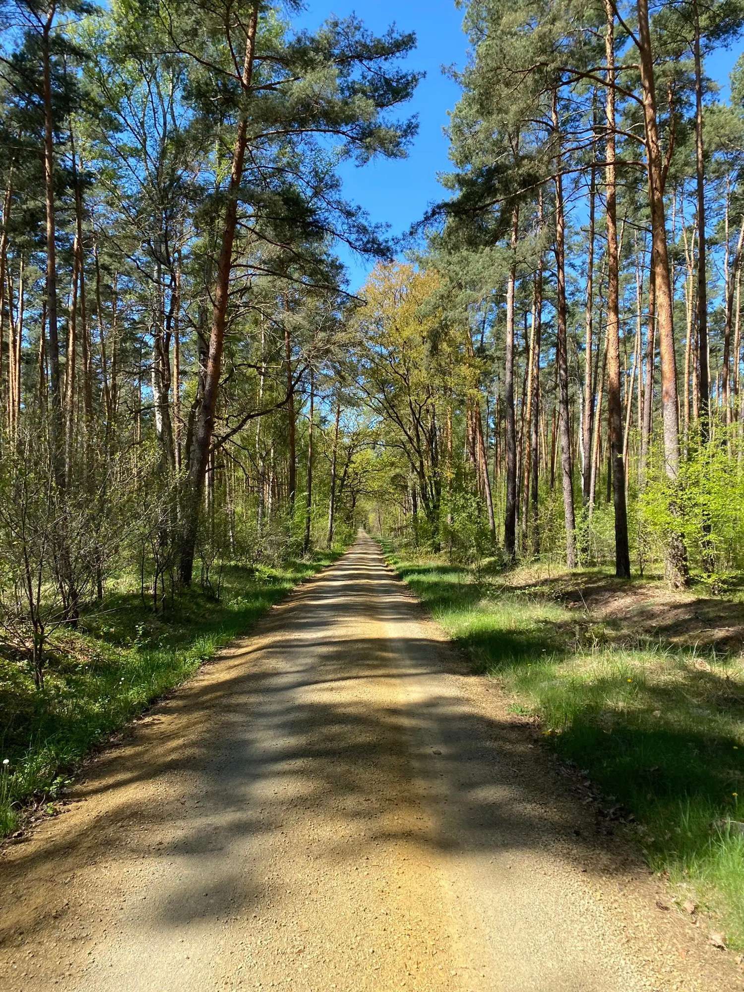 Somewhere in Brandenburg